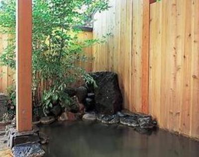 фото отеля Ashinoko Ichinoyu