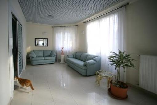 фото отеля Hotel Il Gatto