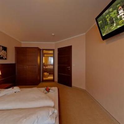 фото отеля Hotel Alpwell Gallhaus