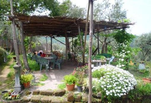 фото отеля Agriturismo L'Olivara