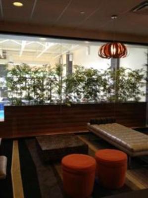 фото отеля Holiday Inn & Suites Charleston West