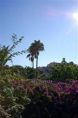 фото отеля Hotel Son Sant Jordi