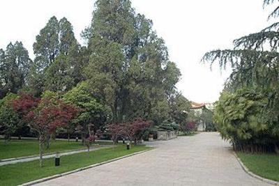 фото отеля Yunnan Zhenzhuang Guest House