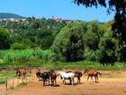 фото отеля Montebelli Agriturismo and Country Gavorrano