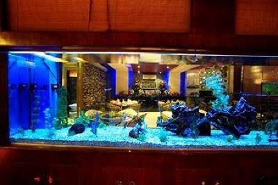 фото отеля Aquarium Hotel Suites – Riyadh