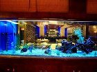 фото отеля Aquarium Hotel Suites – Riyadh