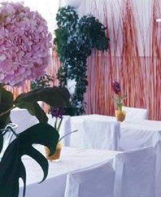 фото отеля Paradise Lifestyle Hotel
