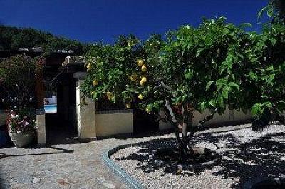 фото отеля Hotel Fiore di Maggio
