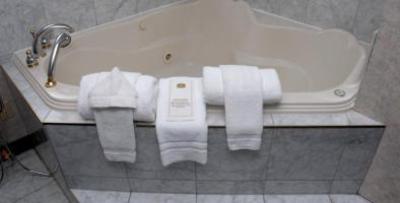 фото отеля Best Western Plus Victoria Park Suites