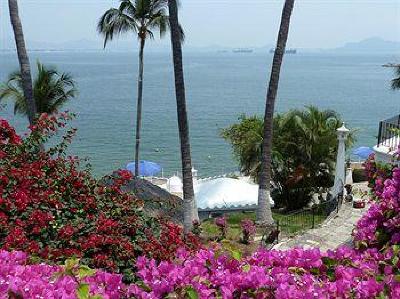 фото отеля Dolphin Cove Inn Manzanillo