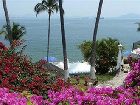 фото отеля Dolphin Cove Inn Manzanillo