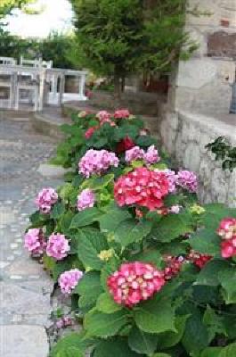 фото отеля Alacati Zeytin Konak Hotel