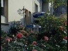 фото отеля Ambassador Hotel Solothurn