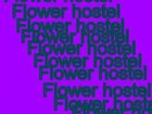 фото отеля Flower Hostel Milan