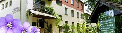 фото отеля Berghotel Rotstein