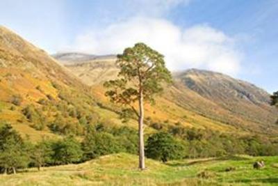 фото отеля Glen Nevis Hostel