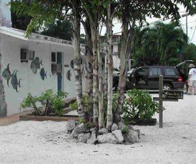 фото отеля Conch On Inn Motel