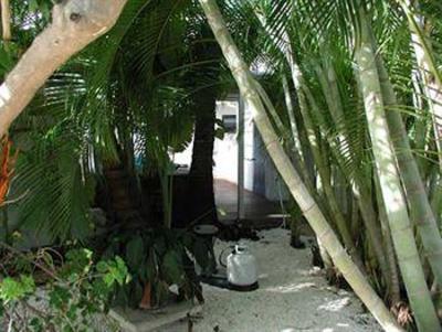 фото отеля Conch On Inn Motel