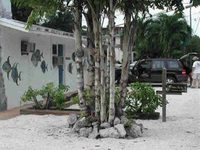 Conch On Inn Motel