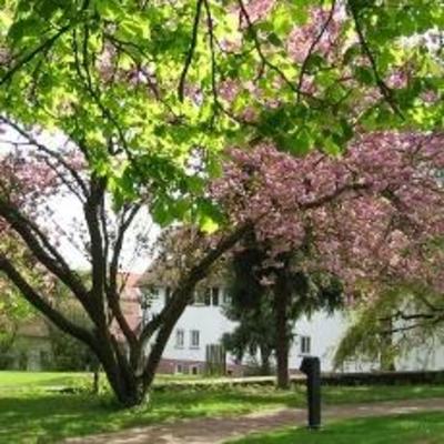 фото отеля Tagungshaus Kloster Höchst