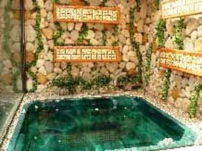 фото отеля Hotel y Aguas Termales de Chignahuapan