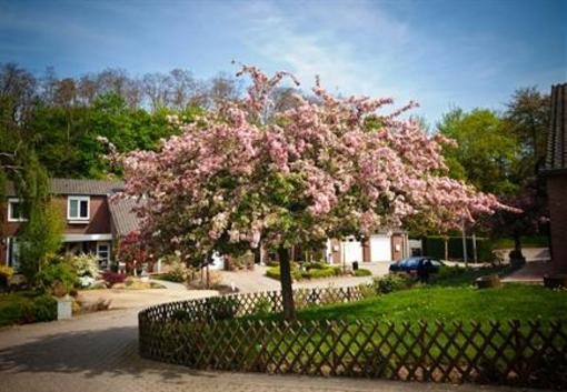 фото отеля Rene's Bed and Breakfast Kerkrade