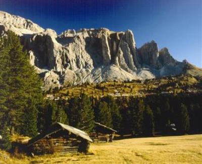 фото отеля Alpenroyal Grand Hotel Selva Di Val Gardena