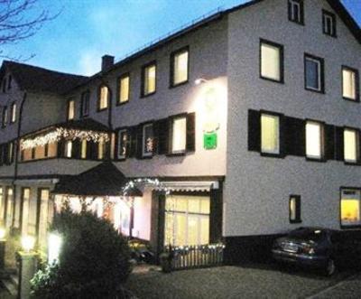 фото отеля Hotel Badischer Loewe Buhlertal
