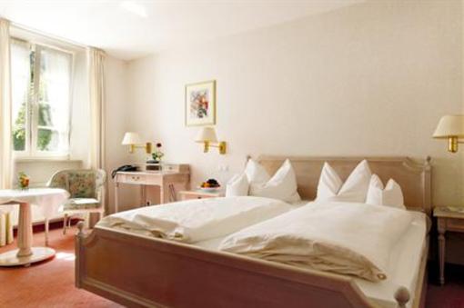 фото отеля Hotel Altenberger Hof