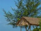 фото отеля Marjoly Beach Resort