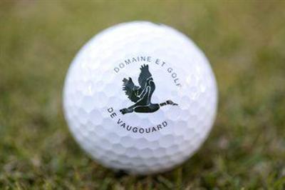 фото отеля Domaine et Golf Vaugouard