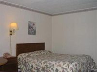 Red Carpet Inn North East