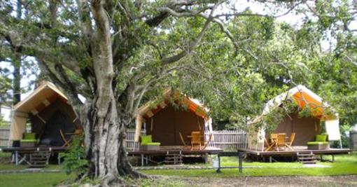 фото отеля Agnes Water Beach Caravan Park