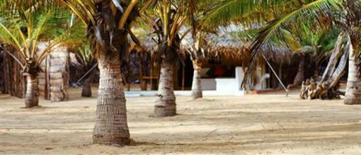 фото отеля Dolphin Beach Hotel