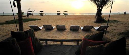 фото отеля Dolphin Beach Hotel