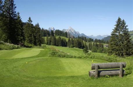 фото отеля Gstaad Palace Hotel