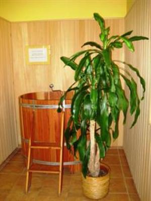 фото отеля Anna Maria Villa Hotel