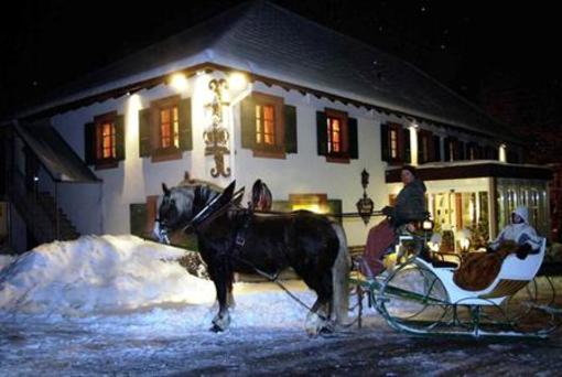 фото отеля Hotel Krone Schopfheim