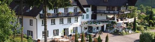 фото отеля Landhaus Langeck Munstertal