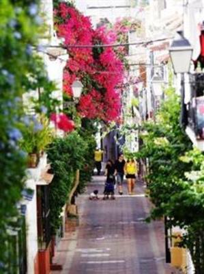 фото отеля Pension Aduar Marbella