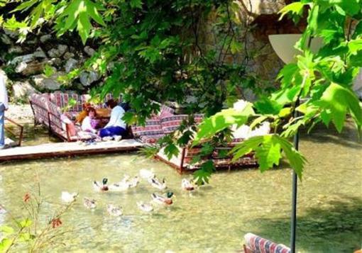 фото отеля Adrasan River Hotel