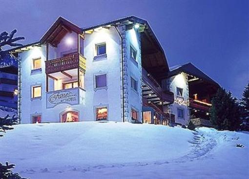 фото отеля Hotel Fanes Selva di Val Gardena