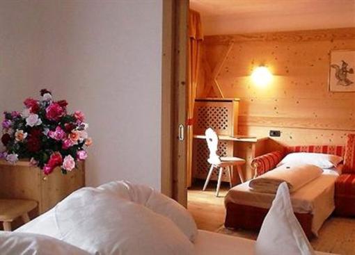 фото отеля Hotel Fanes Selva di Val Gardena
