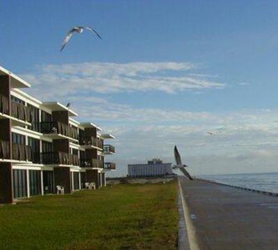 фото отеля Island House