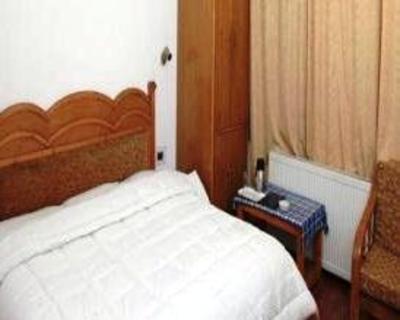 фото отеля Hotel Centre Point Srinagar