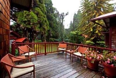 фото отеля Hale Ohia Cottages