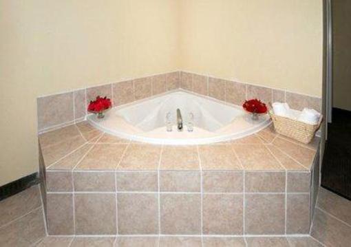 фото отеля Comfort Suites Wright Patterson Dayton (Ohio)
