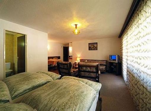 фото отеля Apparthotel Alouette Zermatt