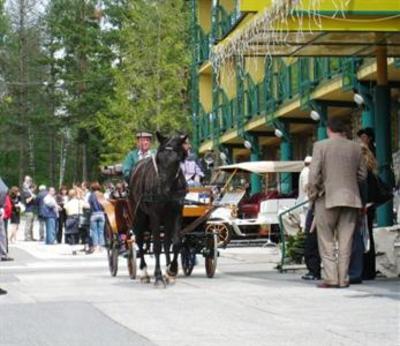 фото отеля Hotel Forton Stara Lesna