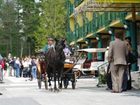 фото отеля Hotel Forton Stara Lesna